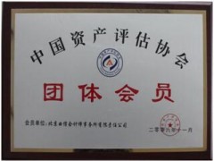 中國(guó)資產(chǎn)評(píng)估協(xié)會(huì)團(tuán)體會(huì)員