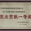 突出貢獻(xiàn)獎(jiǎng)